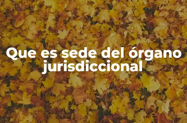 Que es Sede Del Órgano Jurisdiccional
