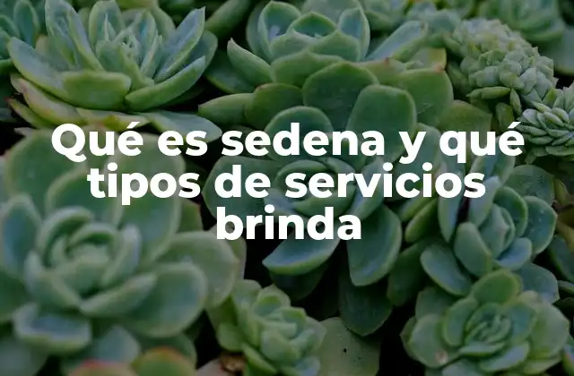 Qué es Sedena y Qué Tipos de Servicios Brinda