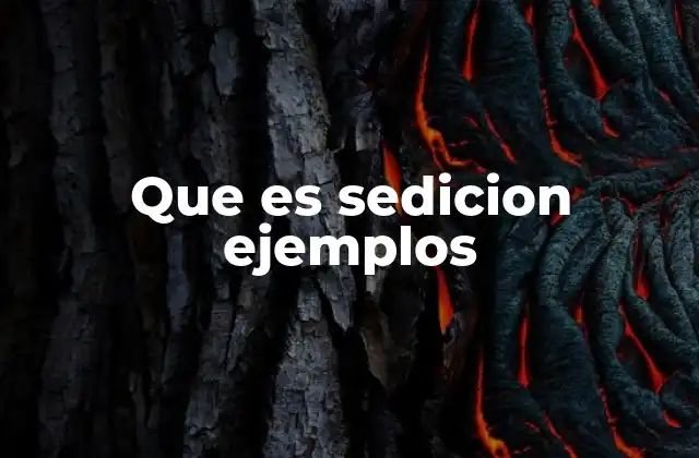Que es Sedicion Ejemplos