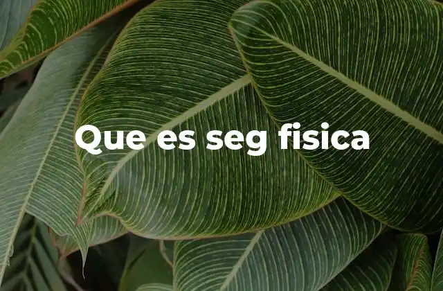 Que es Seg Fisica