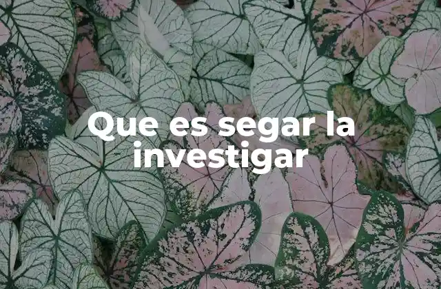 Que es Segar la Investigar