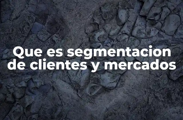 Que es Segmentacion de Clientes y Mercados