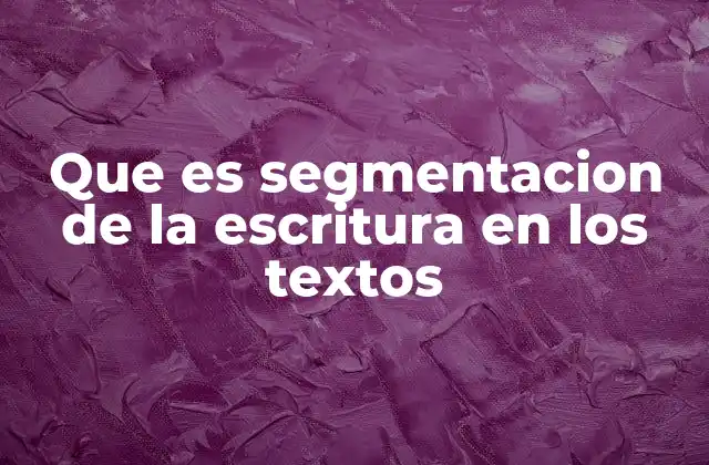 Que es Segmentacion de la Escritura en los Textos
