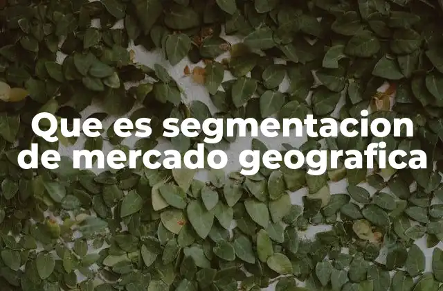 Que es Segmentacion de Mercado Geografica