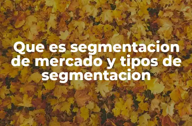 Que es Segmentacion de Mercado y Tipos de Segmentacion