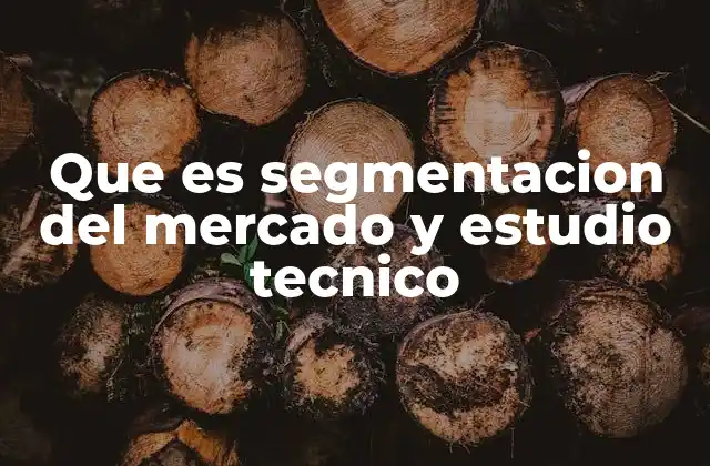 Que es Segmentacion Del Mercado y Estudio Tecnico