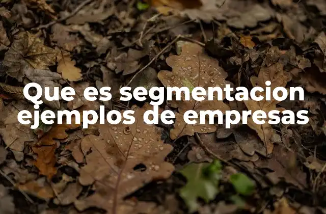 Que es Segmentacion Ejemplos de Empresas