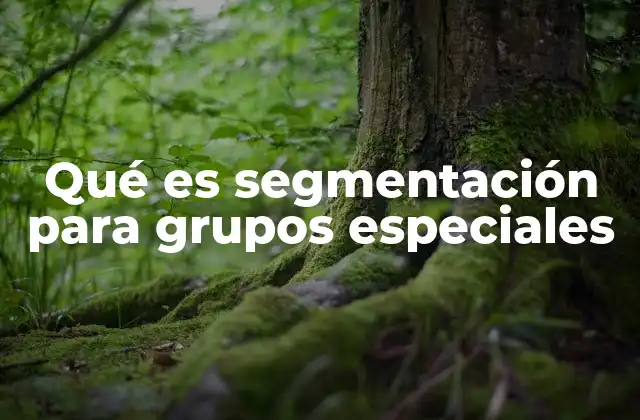 Qué es Segmentación para Grupos Especiales