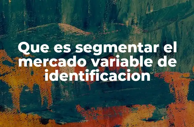 Que es Segmentar el Mercado Variable de Identificacion