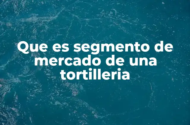 Que es Segmento de Mercado de una Tortilleria