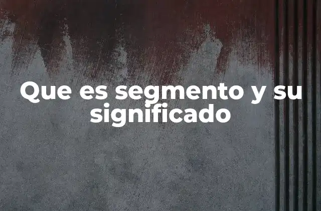 Que es Segmento y Su Significado