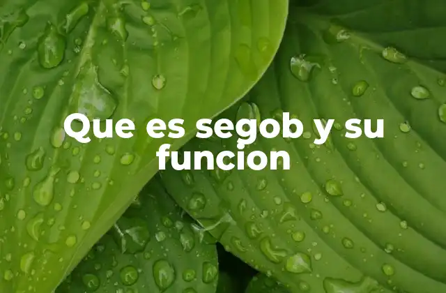 Que es Segob y Su Funcion