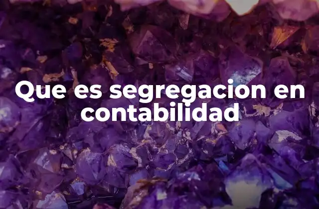 Que es Segregacion en Contabilidad