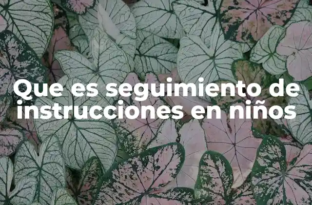 Que es Seguimiento de Instrucciones en Niños