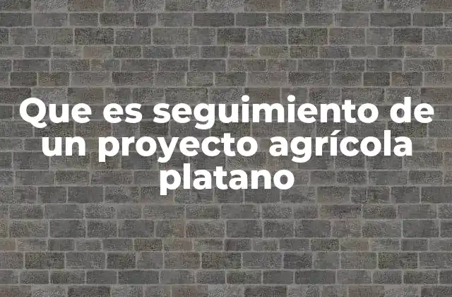 Que es Seguimiento de un Proyecto Agrícola Platano