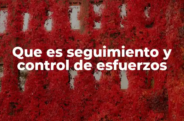 Que es Seguimiento y Control de Esfuerzos 2 La importancia del monitoreo en el rendimiento organizacional