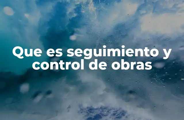 Que es Seguimiento y Control de Obras