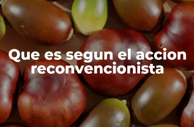 Que es Segun el Accion Reconvencionista