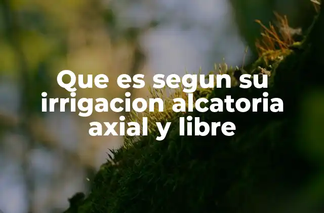 Que es Segun Su Irrigacion Alcatoria Axial y Libre