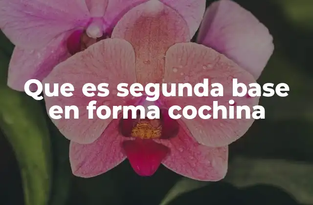 Que es Segunda Base en Forma Cochina