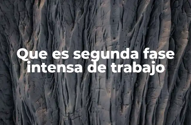 Que es Segunda Fase Intensa de Trabajo