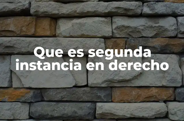 Que es Segunda Instancia en Derecho