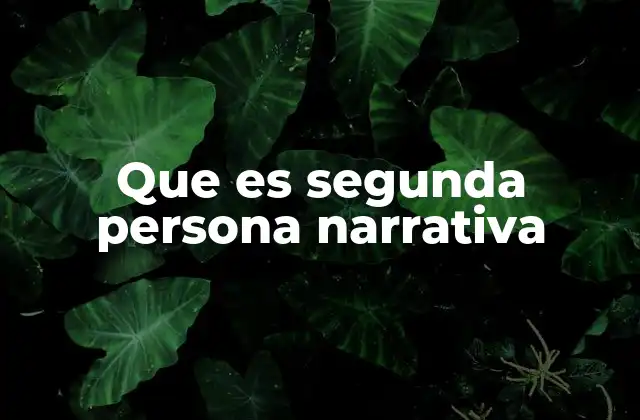 Que es Segunda Persona Narrativa