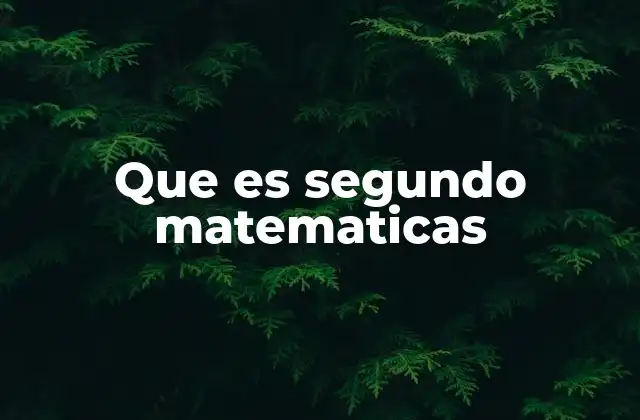 Que es Segundo Matematicas