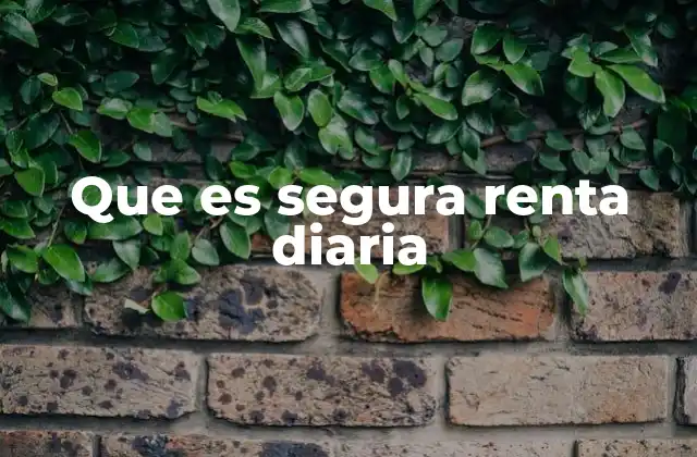 Que es Segura Renta Diaria