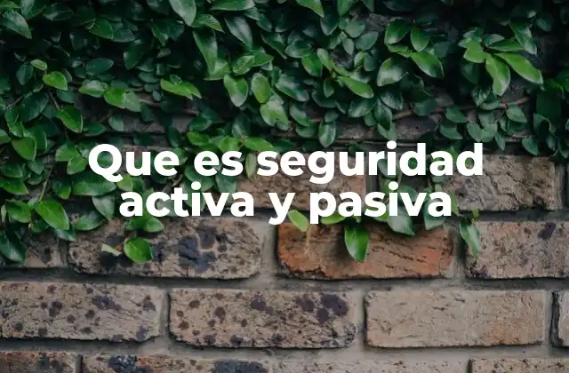 Que es Seguridad Activa y Pasiva