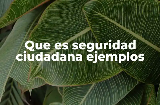 Que es Seguridad Ciudadana Ejemplos 2 La importancia de involucrar a la comunidad en la seguridad ciudadana