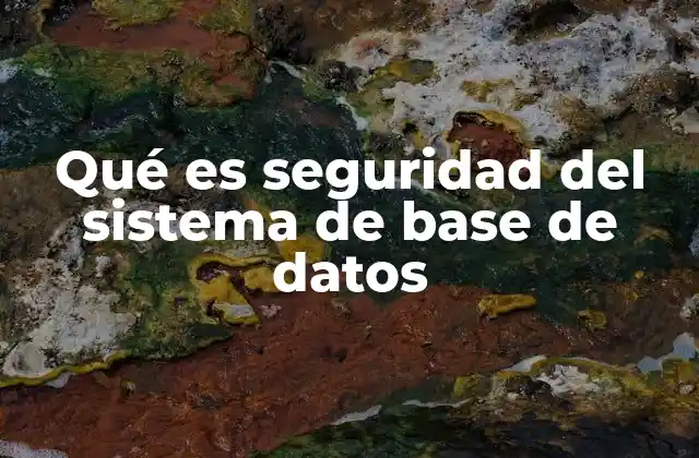 Qué es Seguridad Del Sistema de Base de Datos