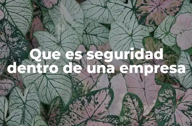 Que es Seguridad Dentro de una Empresa