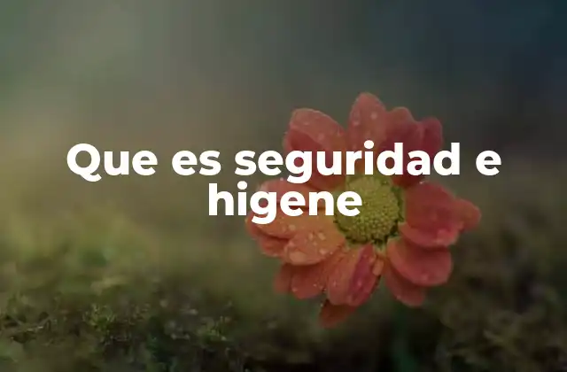 Que es Seguridad e Higene
