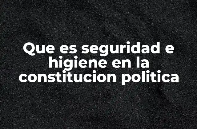 Que es Seguridad e Higiene en la Constitucion Politica