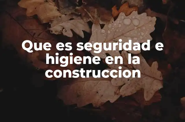 Que es Seguridad e Higiene en la Construccion