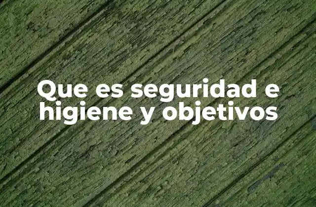 Que es Seguridad e Higiene y Objetivos