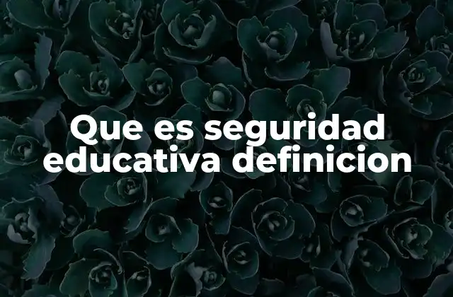 Que es Seguridad Educativa Definicion