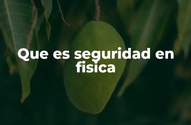 Que es Seguridad en Fisica