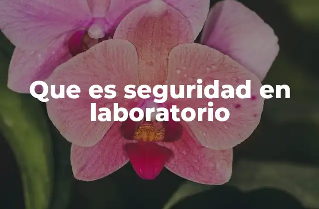 Que es Seguridad en Laboratorio