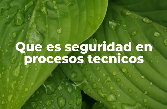 Que es Seguridad en Procesos Tecnicos