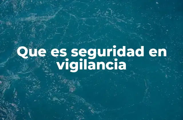 Que es Seguridad en Vigilancia