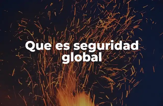 Que es Seguridad Global
