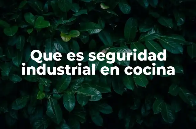 Que es Seguridad Industrial en Cocina