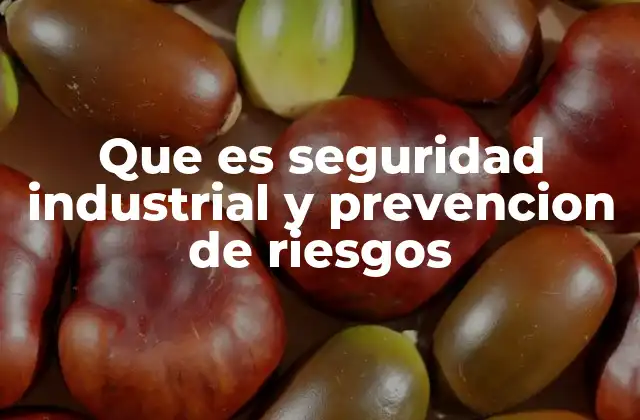 Que es Seguridad Industrial y Prevencion de Riesgos