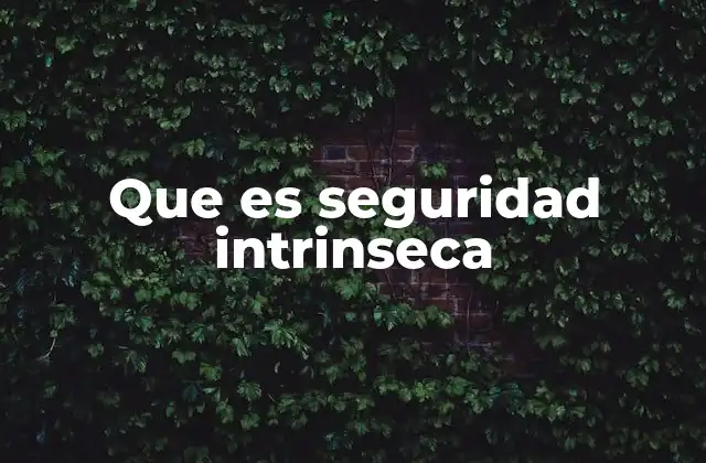 Que es Seguridad Intrinseca