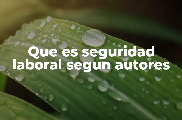Que es Seguridad Laboral Segun Autores