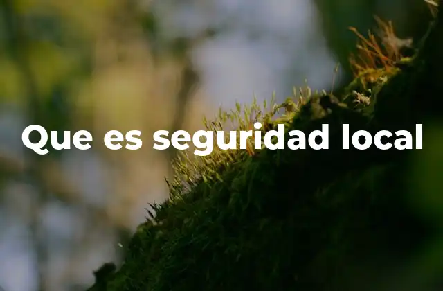 Que es Seguridad Local