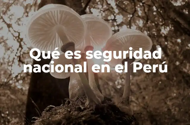 Qué es Seguridad Nacional en el Perú