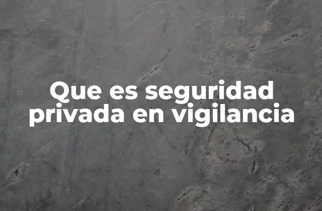 Que es Seguridad Privada en Vigilancia